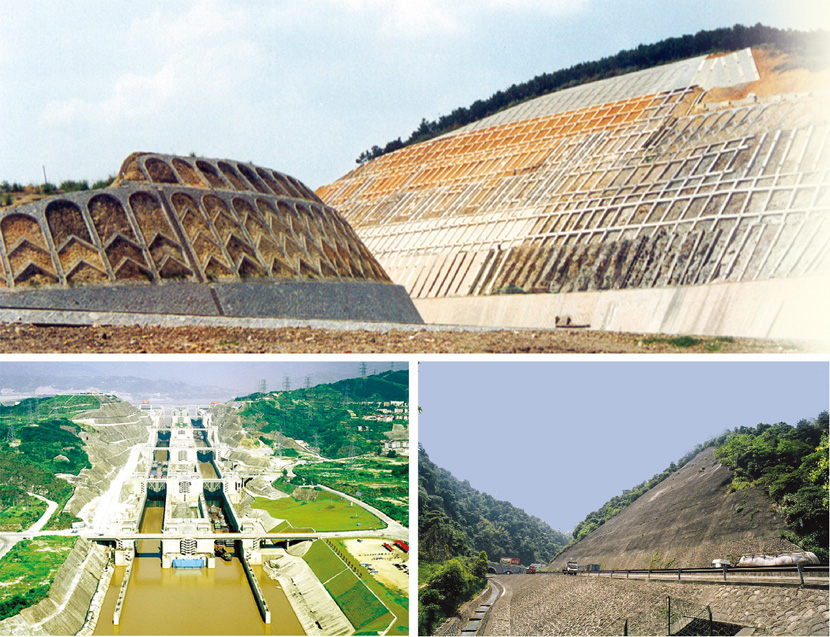 AG�ι��֡�(�й���)���޹�˾����